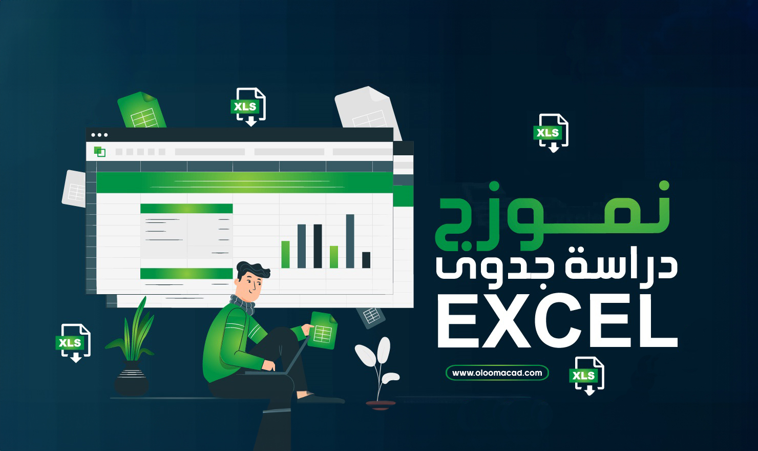 ملف اكسيل لدراسة جدوى مالية مع الشرح